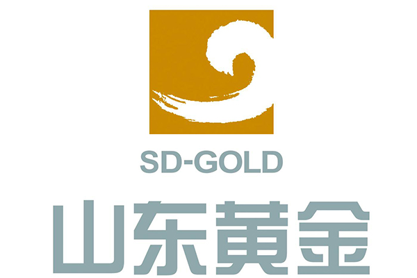 山東河西黃金集團選購FLDC電磁流量計