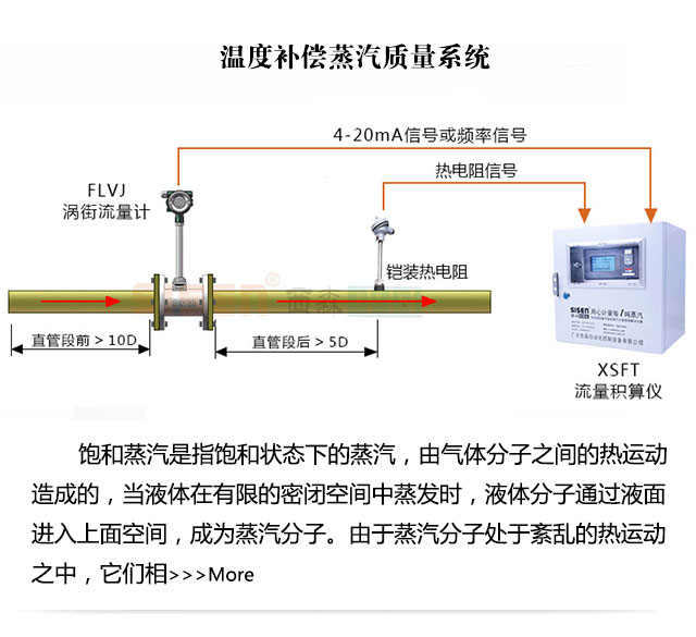 溫度補(bǔ)償蒸汽質(zhì)量計量系統(tǒng)